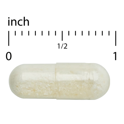 Terry Naturally PleuraMax Extra Strength - Upper Respiratory Health Supplement - Sourced from Oyster Mushrooms - Includes Vitamin C & Zinc for Immune Support - Vegan - 15 Capsules (15 Servings)
