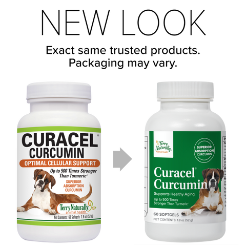 Terry Naturally Curacel Curcumin - Curcumin Health Supplement for Dogs - Pet Curcumin Dog Supplies - Cellular Health Supplement with Antioxidants - 60 Softgels