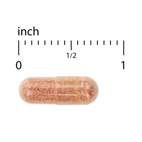 Terry Naturally Clinical OPC - Cardiovascular Health & Focus Support Supplement - Dietary Supplement with Grape Seed Extract & Sunflower Lecithin - Immune Support Supplement - 150 mg, 60 Softgels