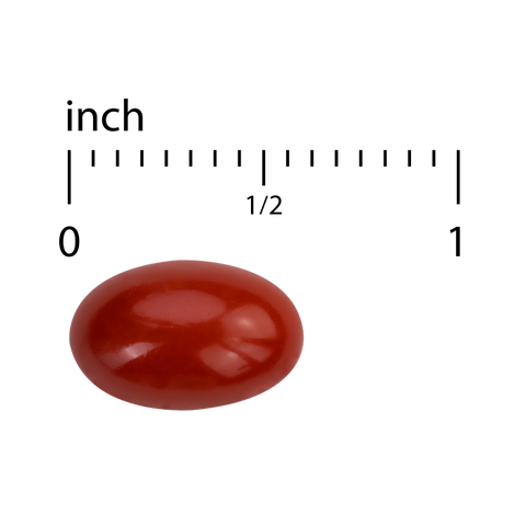 Terry Naturally CuraMed Acute Pain Relief - Supplement with BCM-95 Curcumin & BOS-10 Boswellia - Black Sesame Seed Oil to Support Relief of Occasional Discomfort