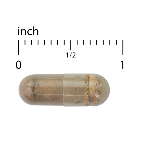 Terry Naturally Liver Fractions - Endurance & Energy Support with Gentle Iron - Dietary Supplement Supports Healthy Red Blood Cell Formation - Iron Supplement for Liver Health - 90 Capsules