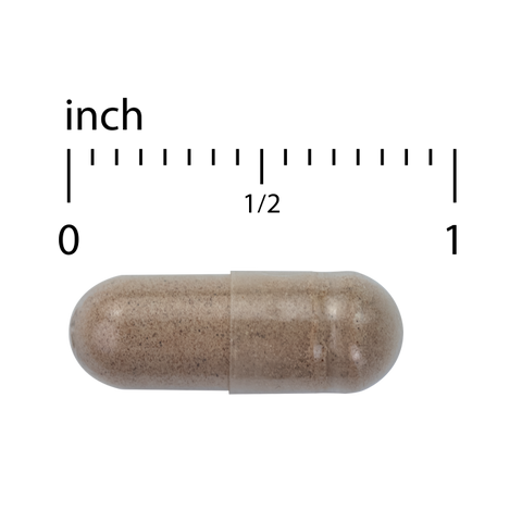 Terry Naturally Menopause Relief Plus - Menopause Symptom Supplement - Supplement to Aid Against Occasional Tiredness & Night Sweats - Supplement with Rhodiola & Black Cohosh - 60 Capsules