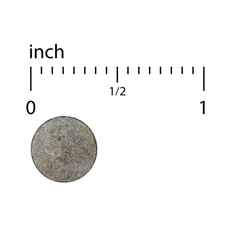 Terry Naturally Silica-20 - Support Hair Growth & Nail Strength - Collagen Supplement to Aid Bone Density & Strength - Skincare Supplement to Support Skin, Nail & Bone Health - 60 Tablets