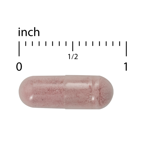 Terry Naturally Urinary Tract Intensive Support - Supplement with Cranberry for Bladder Health Support - Kidney Health Supplement with D-Mannose & Vitamin C - 60 Capsules