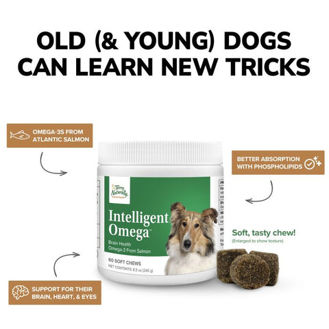 Terry Naturally Animal Health Dog Intelligent Omega Brain + Eye Health - 60 Soft Chews