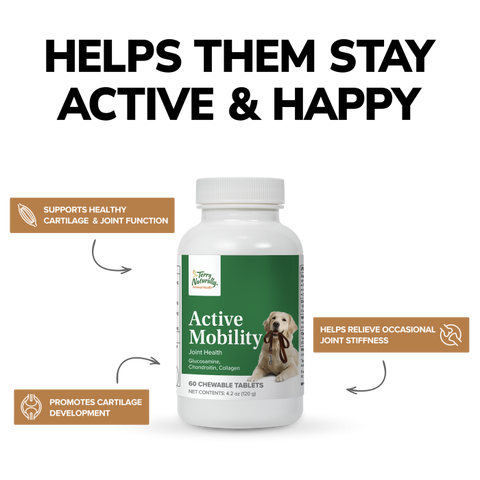 Terry Naturally Active Mobility - Joint Health Support for Pets - Supplement for Animal Health - Hip and Knee Aid for Dogs - Includes Glucosamine, Chondroitin & Collagen - 60 Chewable Tablets