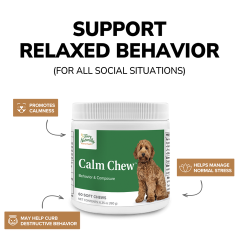 Terry Naturally Calm Chew - Calming Chews for Dogs - Aids Relaxation with Inositol, Lemon Balm, Taurine, Theanine & Thiamine HCl - Provides Support for Restless Animals - 60 Soft Chews