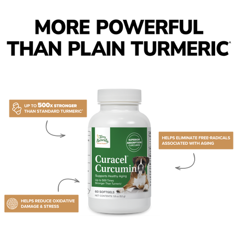 Terry Naturally Curacel Curcumin - Curcumin Health Supplement for Dogs - Pet Curcumin Dog Supplies - Cellular Health Supplement with Antioxidants - 60 Softgels