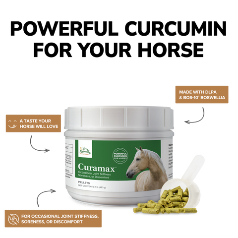 Terry Naturally Curamax - Mobility Support for Animal Health - Ligament & Tendon Health Formula for Working Horses - Supplement for Joint Health Support - 1 lb (30 Servings)