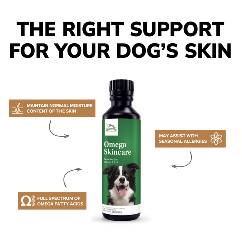 Terry Naturally Animal Health Omega Skincare - 8 fl. oz. - Fish Oil for Dogs - Omega 3 6 9, Flax Seed, Sunflower & Pumpkin Seed Oil - Promote Healthy Skin for Your Dog - Canine Only - 47 Servings