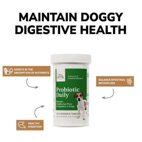Terry Naturally, Probiotic Daily™, For Dogs, 60 Chewable Tablets, 1.32 oz (37.5 g)