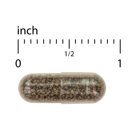 Terry Naturally Vectomega® (Capsules) Salmon Omega-3 EPA/DHA  Healthy Heart, Brain, Eyes, Mood, and Focus*